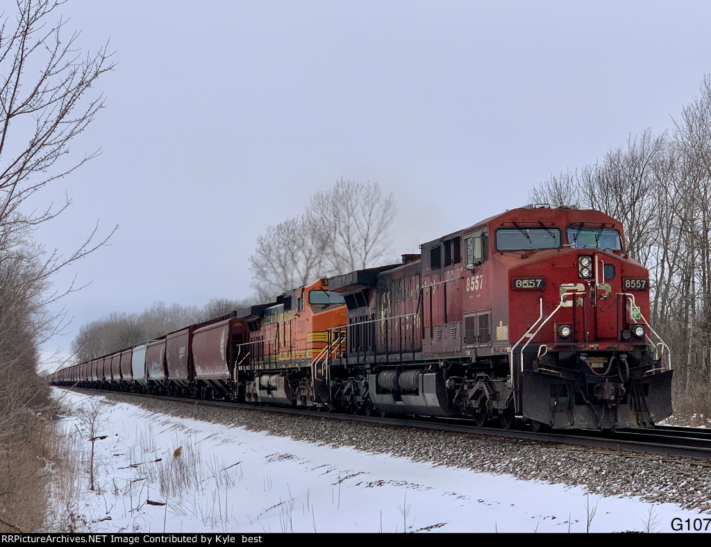 CP 8557 on G104 